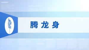 40.腾龙身