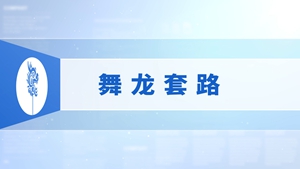 41.舞龙套路