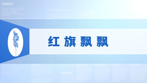 44.红旗飘飘