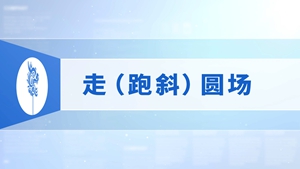 31.走（跑斜）圆场