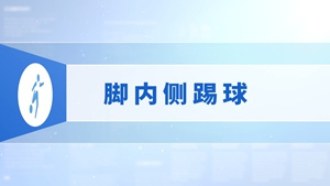 14.脚内侧踢球
