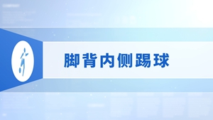 16.脚背内侧踢球