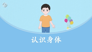 认识身体