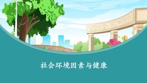 社会环境因素与健康